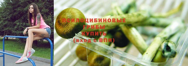 гидропоника Бугульма