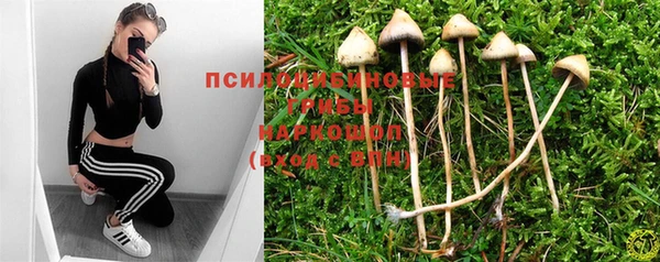 сатива Бронницы
