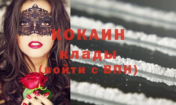сатива Бронницы
