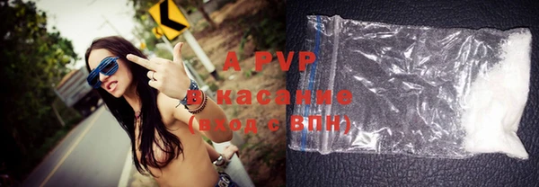 сатива Бронницы