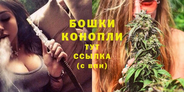 сатива Бронницы