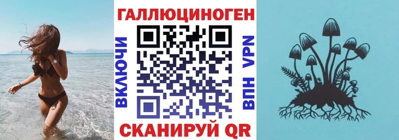 Псилоцибиновые грибы мицелий  Новокубанск 